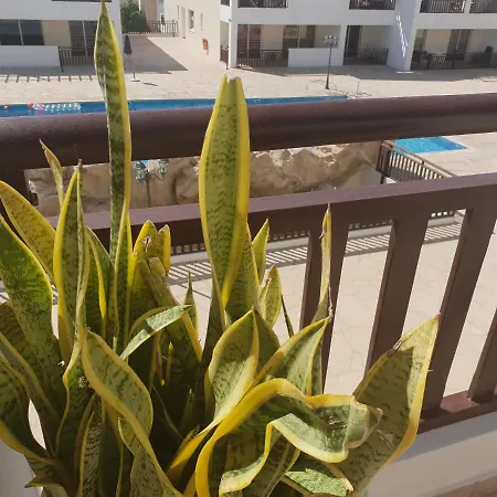 Stunning C106 With Balcony Looking Over Pool