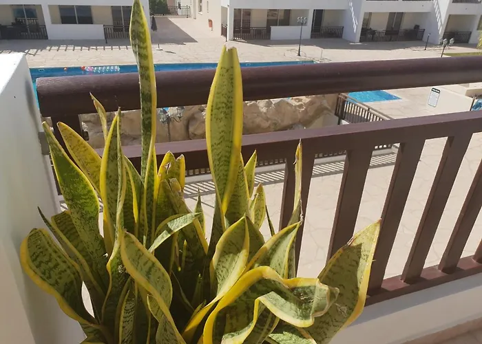 Stunning C106 With Balcony Looking Over Pool